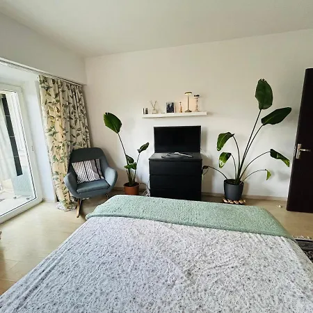 French Apartament In Bucharest